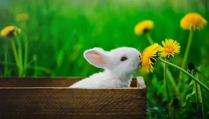 爱游戏真人体育娱乐-球迷对国足失利表达不满，球迷对国足的评价