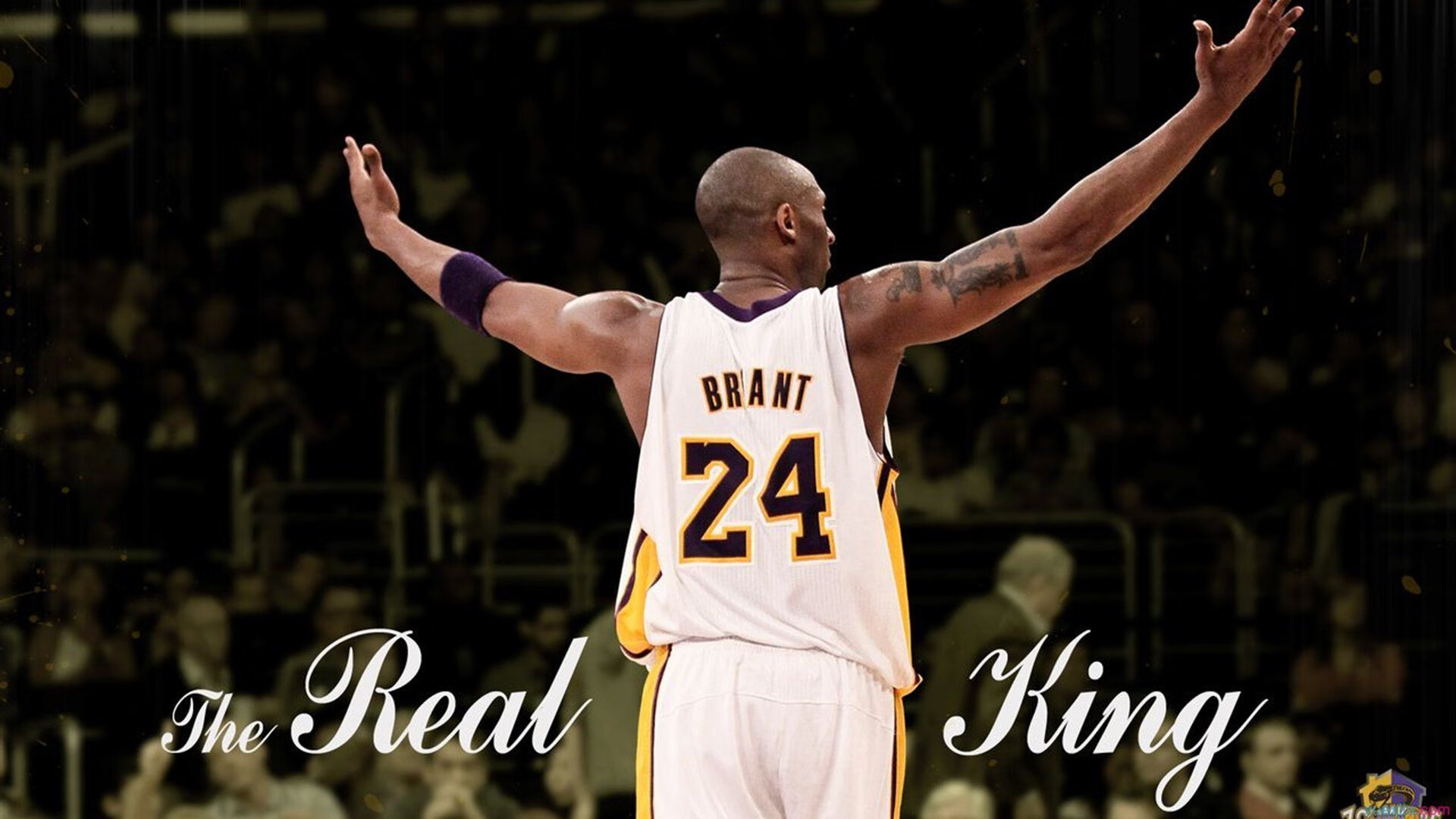 WRC赛场创新：智能导航与通讯系统的革新，wrc著名赛道